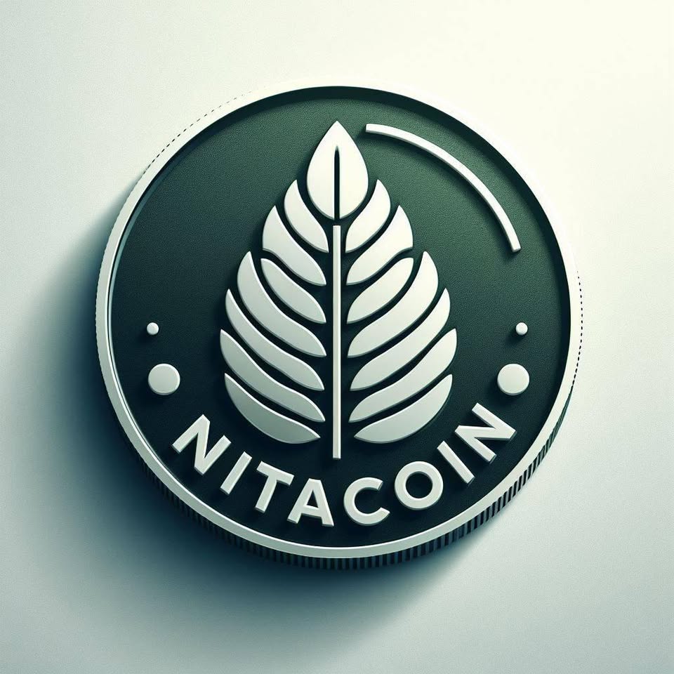 NitaCoin Logo